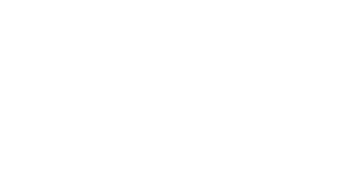 Prancheta 1