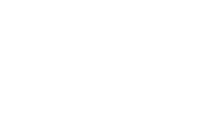 Prancheta 2